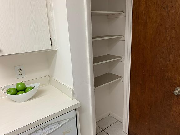 Kitchen pantry has lots of storage