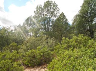 2506 E Feather Plume Ct, Payson, AZ 85541