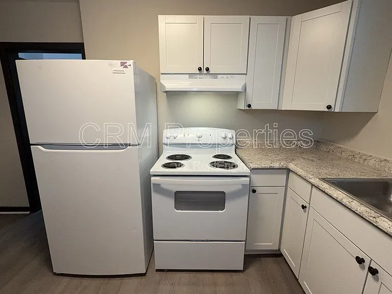 112 N Green St — Photo 6
