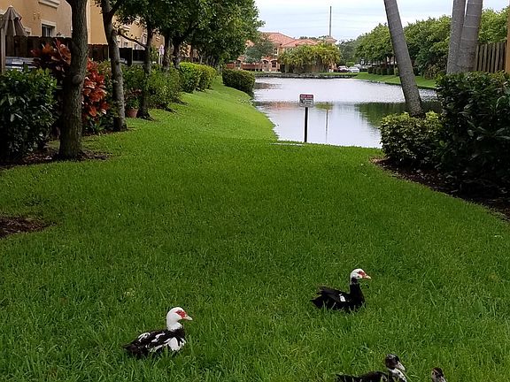 4th image of 4976 Leeward Ln