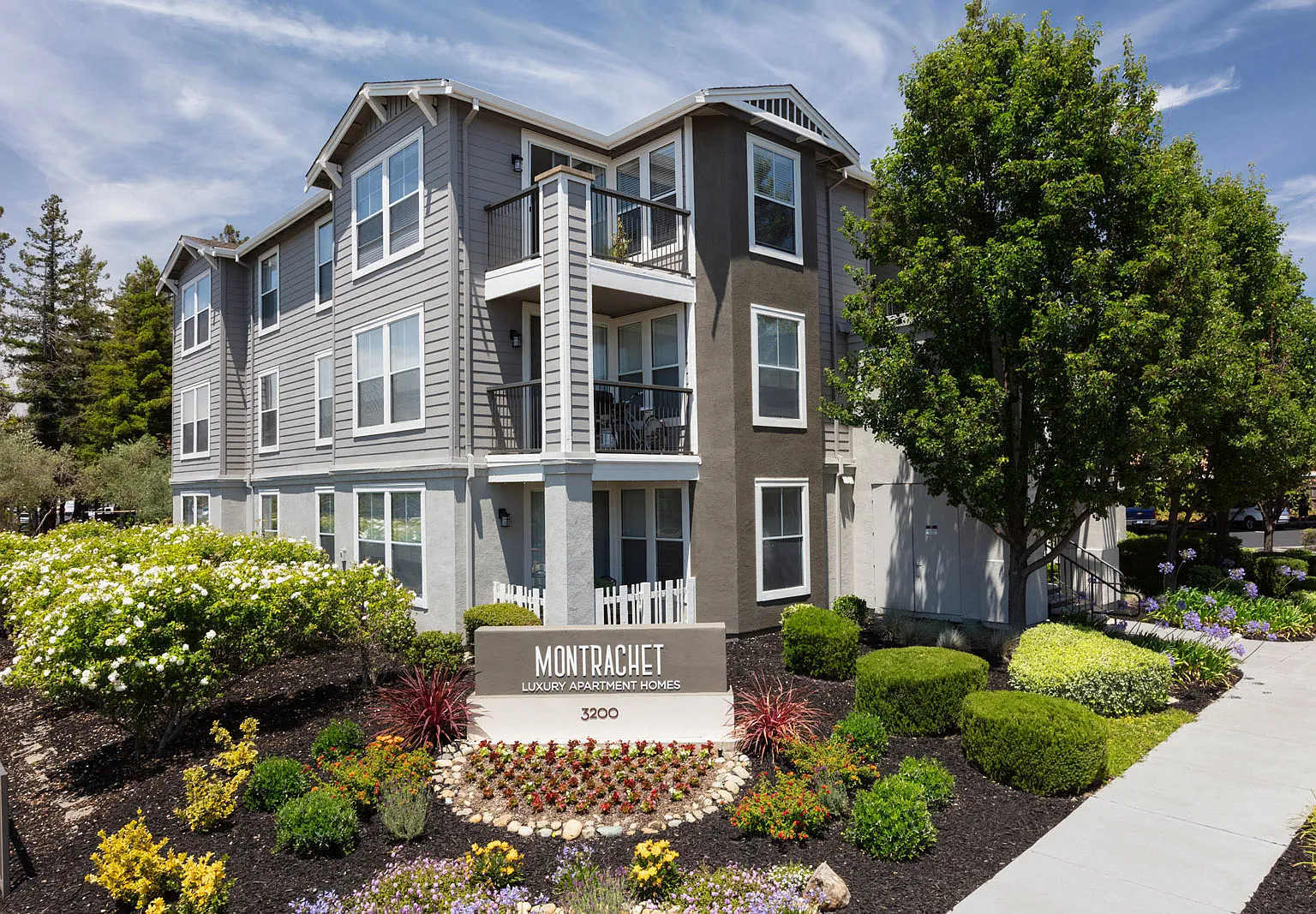 Montrachet Apartments — Photo 1