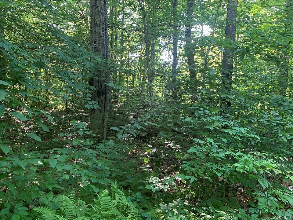 1st image of 25 Meadowlark Ln