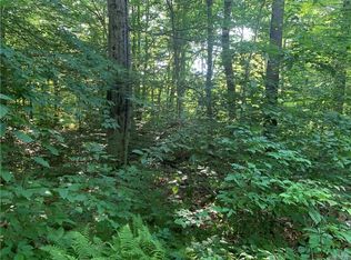 25 Meadowlark Ln, Warsaw, NY 14569