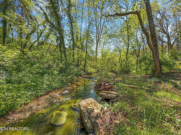 3rd image of 8904 Ormand Ln