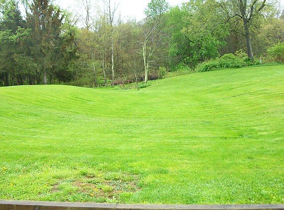 4th image of 1339 Wallaceville Rd