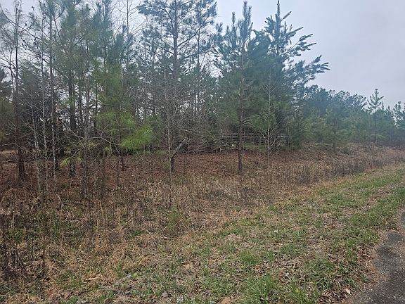 3rd image of 573 Cotton Creek Rd