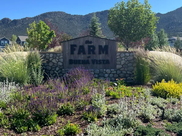 264 Barnwood Dr, Buena Vista, CO 81211