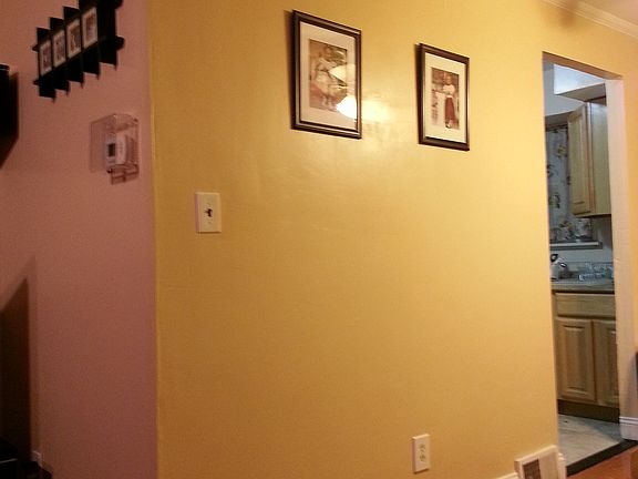 4th image of 2919 Tenbroeck Ave