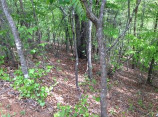 335 Hyalite Rd W, Dahlonega, GA 30533