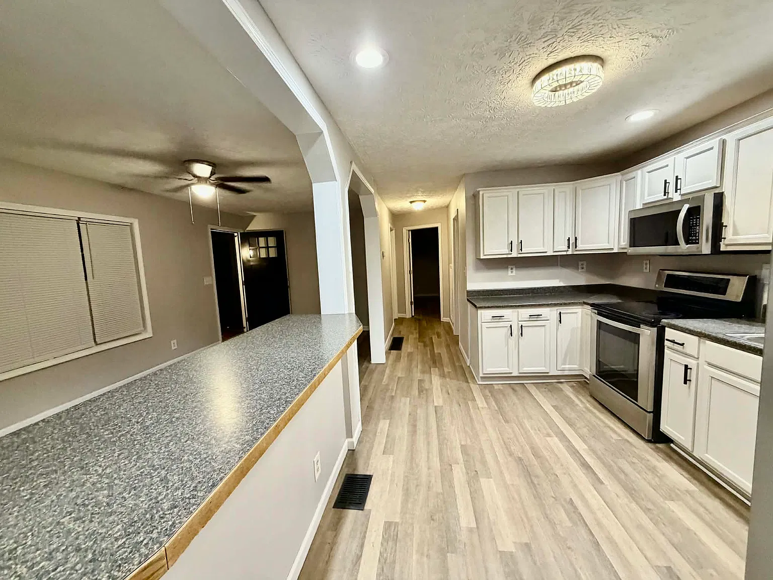 3 bed, 1100 sqft, $1,250 — Photo 3