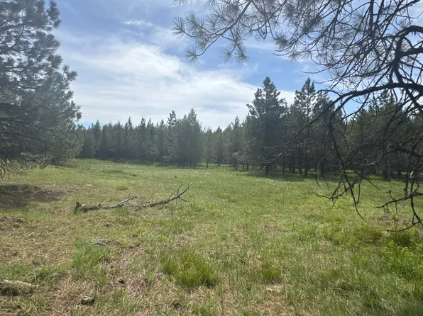 14 Bandmill Hts, White Bird, ID 83554