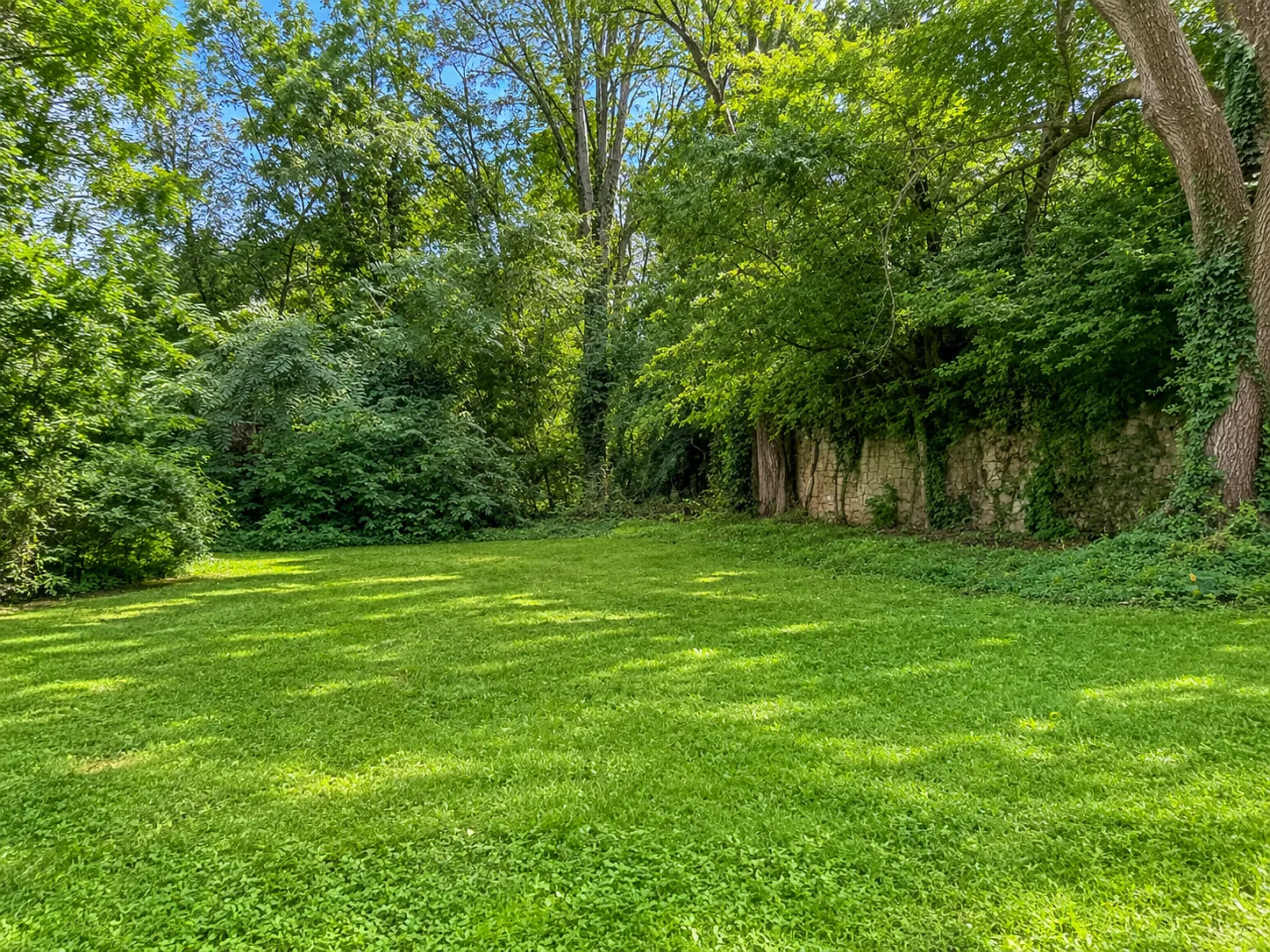 7786 Folk Ave — Photo 4