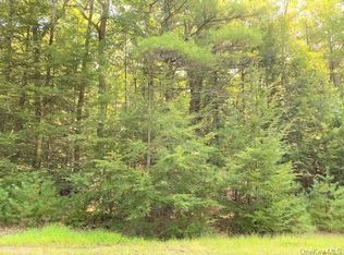 Collins Rd, Eldred, NY 12732