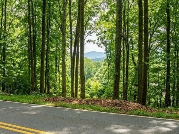 0 Carlton Rd, Bristol, TN 37620