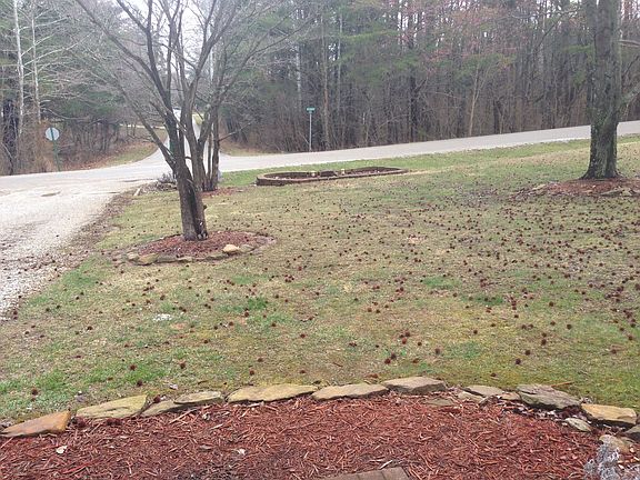 Front yard view