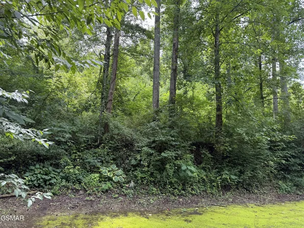 315 Hilltop Rd Lot 24, Gatlinburg, TN 37738