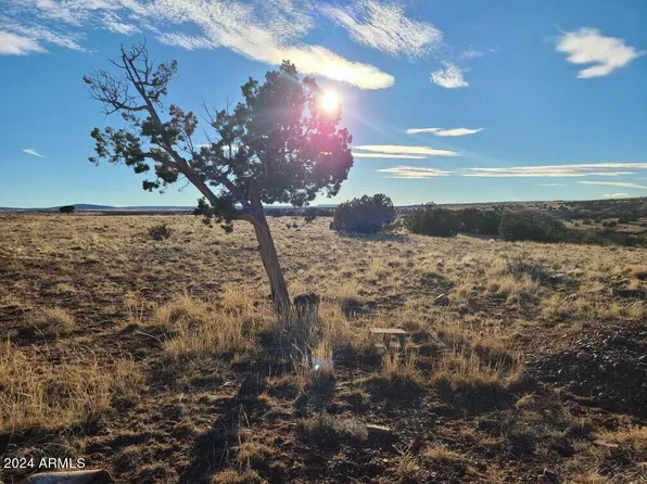 5332 N County Rd N5332 -- #91, Concho, AZ 85924