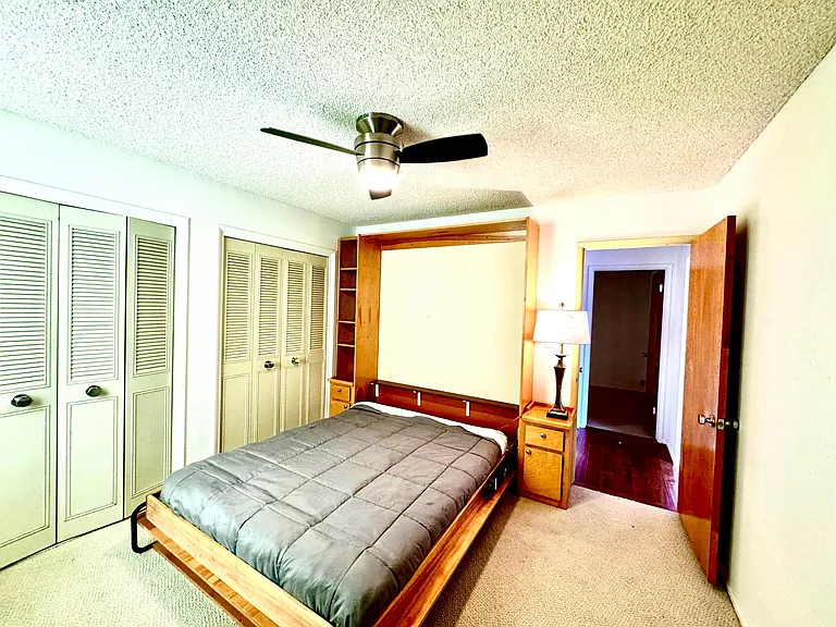 Guest bedroom no. 2. Built in Murphy bed included.