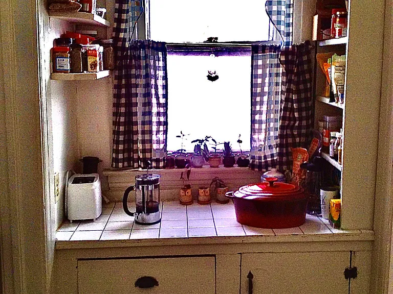 107 Judson St #1 — Photo 12