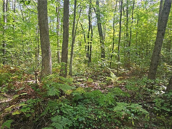 5th image of Lot 0 County Road E