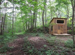 1100 Panther Branch Rd, Canton, NC 28716