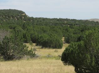 Silver Spurs Rnch LOT 59, Walsenburg, CO 81089