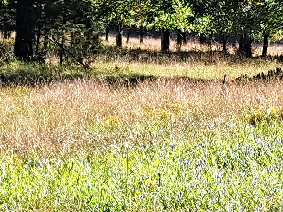 402 County Road 181356 UNIT Tract B, Dora, MO 65637 Zillow