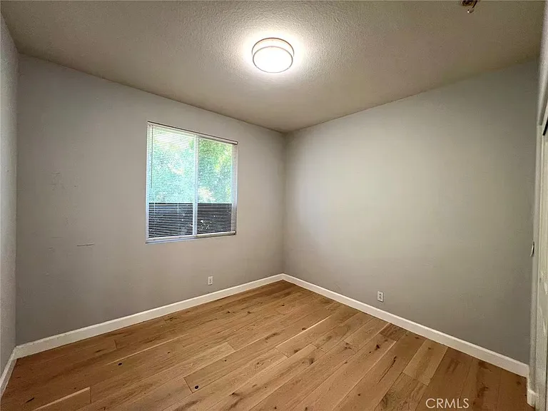 32 Bristlecone — Photo 13