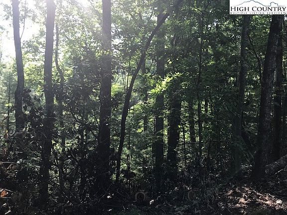 5th image of TBD Blowing Rock Boulevard