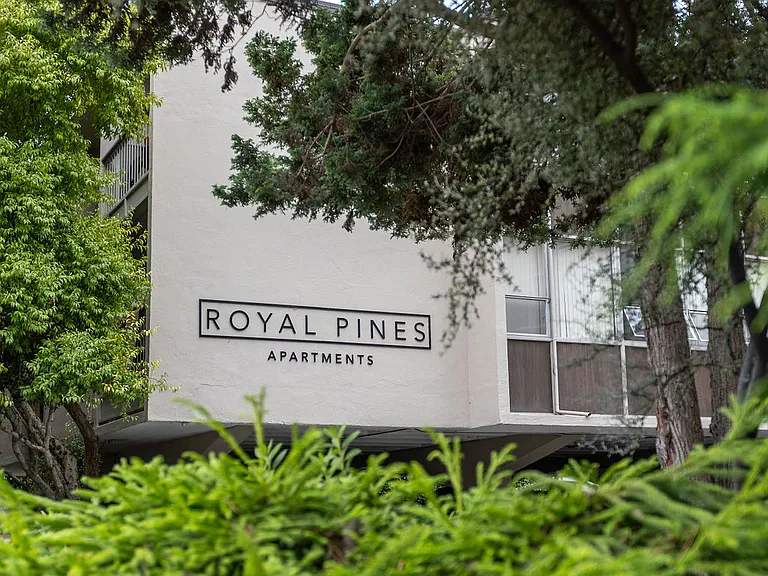 Royal Pines — Photo 20