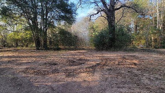 3rd image of 1325 County Road 2650