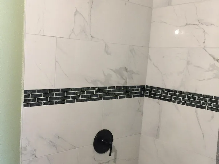 Remodel guest bath oversize shower