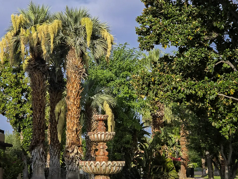 The Oasis Resort has beautiful landscaping including quiet walkways throughout the resort.