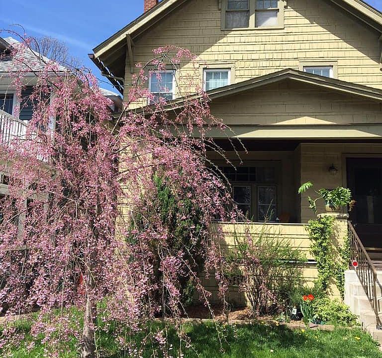 1st image of 105 Florence Ave #2