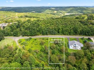 251 Deyo Hill Rd, Johnson City, NY 13790