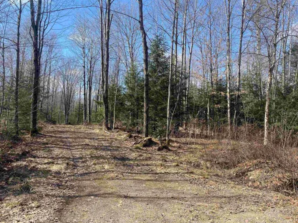44.33 Acres SCHOOL ROAD, Wausau, WI 54403