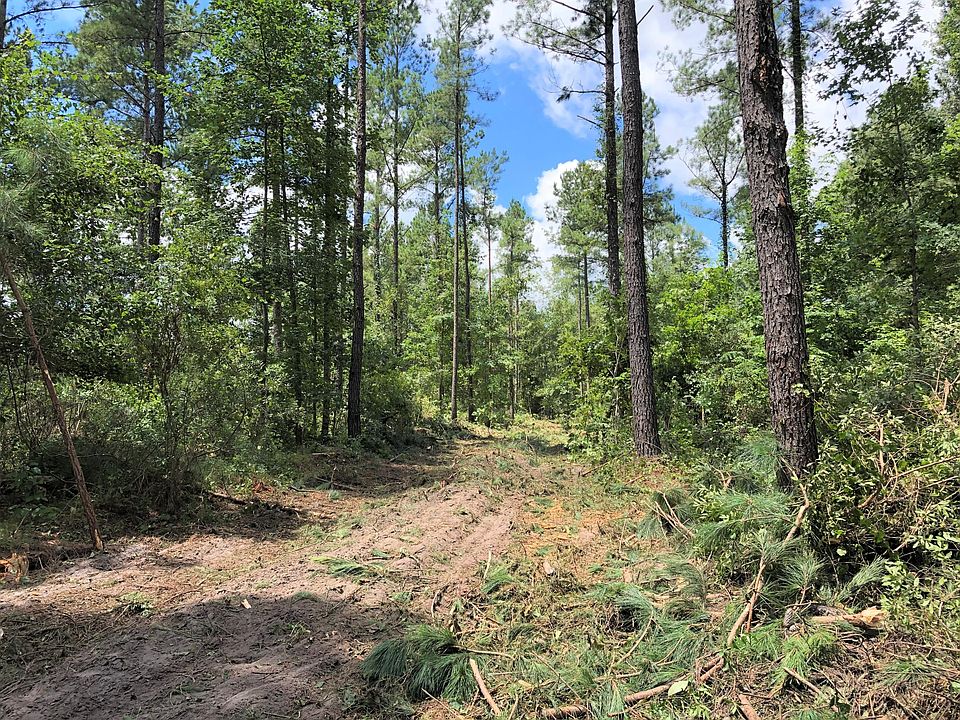 0 Calamus Pond Rd, Summerville, SC 29486 MLS 21000666 Zillow