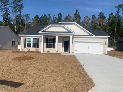 280 Palmetto Sand Loop Lot 22 Odessa II, Conway, SC, 29527