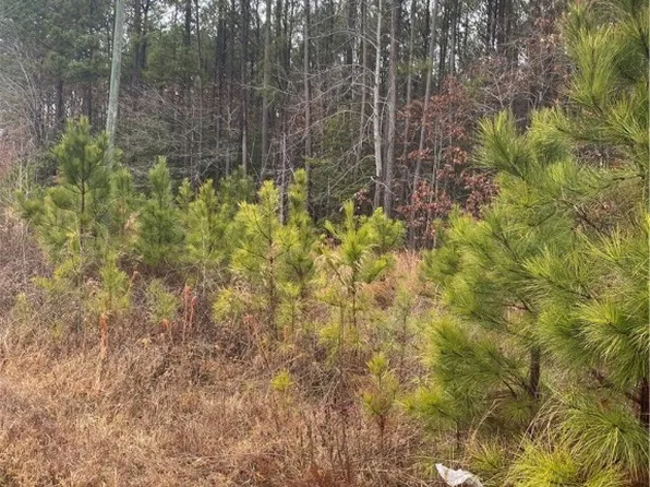 Hair Rd, Disputanta, VA 23842