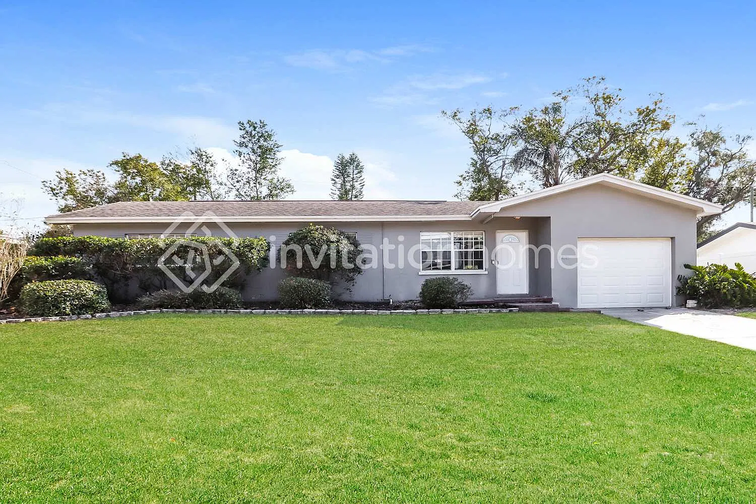 955 Grovewood Dr Dunedin, FL 34698 — Photo 1