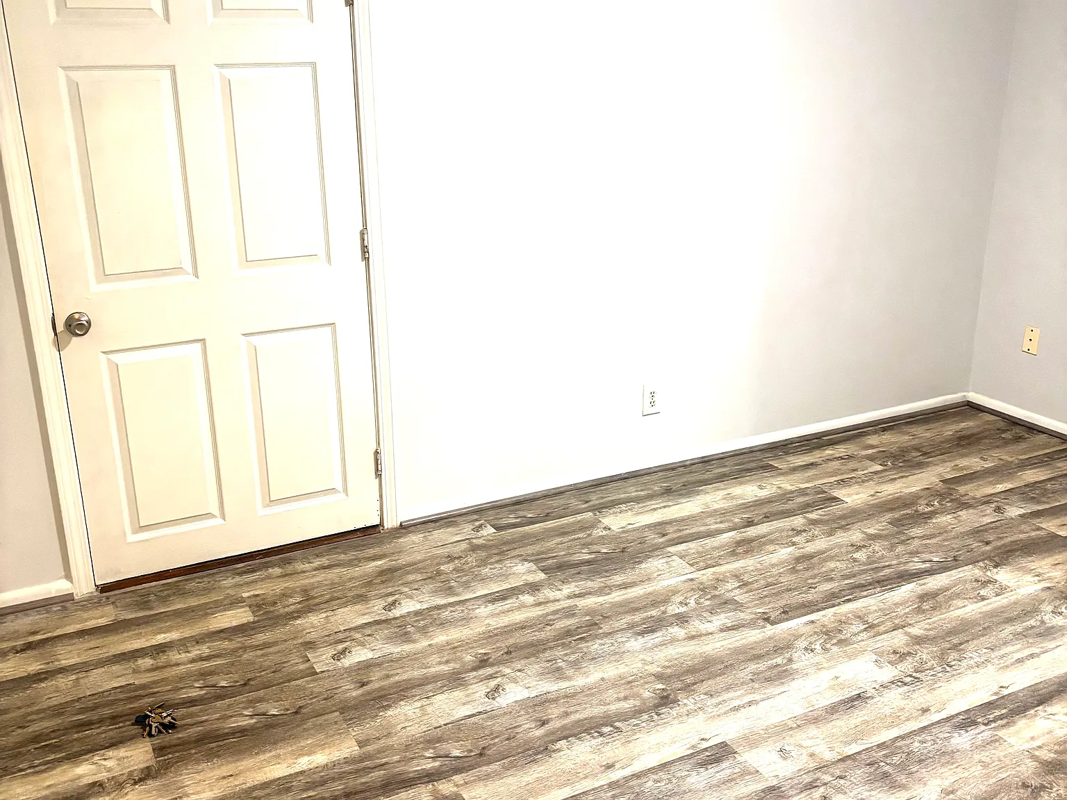 2 bed, 800 sqft, $1,100 — Photo 3