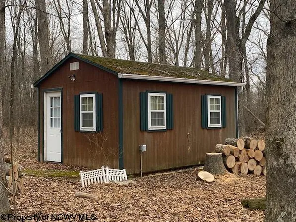 682 Forky Farm Rd, Bruceton Mills, WV 26525