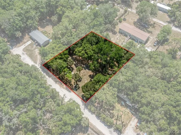11380 N Ginny Lane Point, Inglis, FL 34449