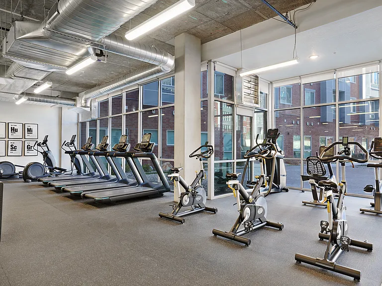 Gym Area