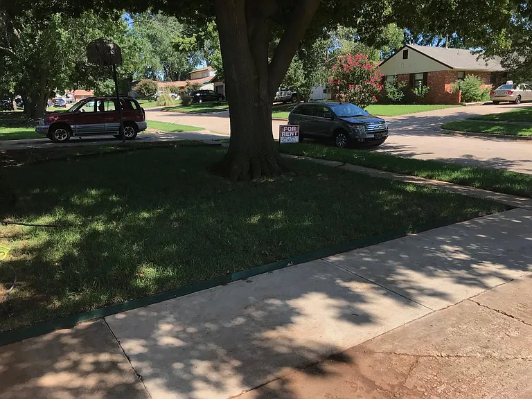 Front yard