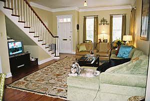 Spacious living areas
