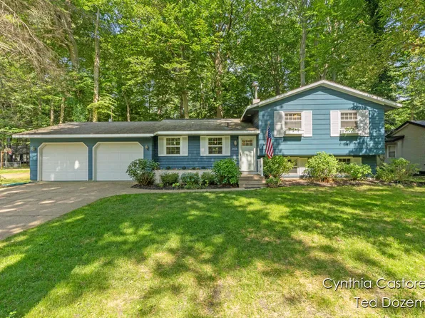 313 Greenwood Ave, Holland, MI 49424