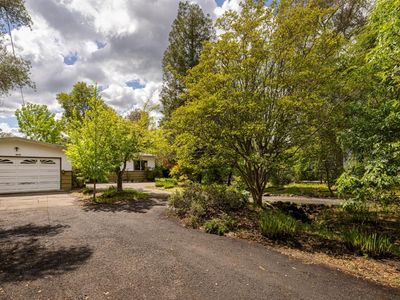 19110 Olive Avenue, Sonoma, CA, 95476