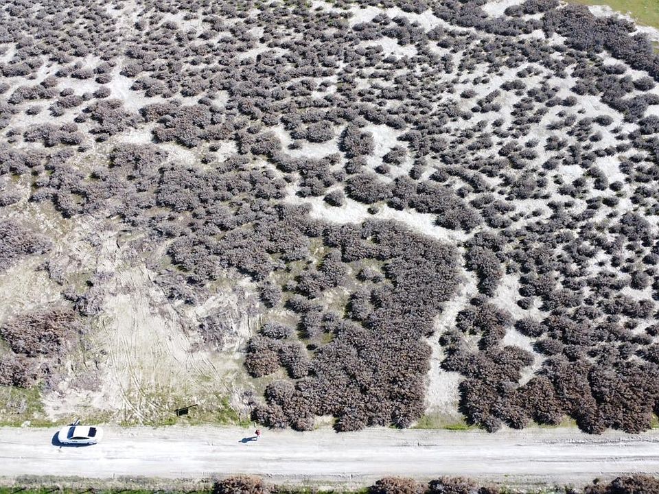 2nd image of 0 Highway 41