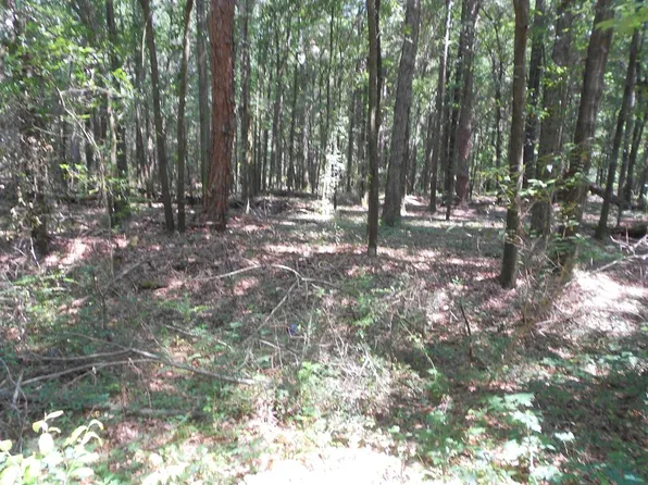 200 Combs Dr, Montezuma, GA 31063